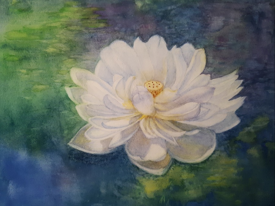 LE LOTUS BLANC<br>
Aquarelle, 40x30 cm
2025