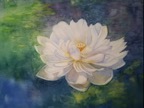 Le lotus blanc.jpg