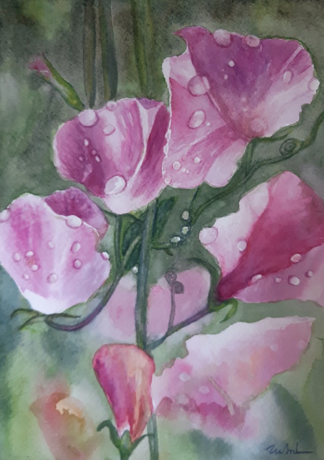 LA ROSÉE<br>
Aquarelle, 28x20 cm
2024